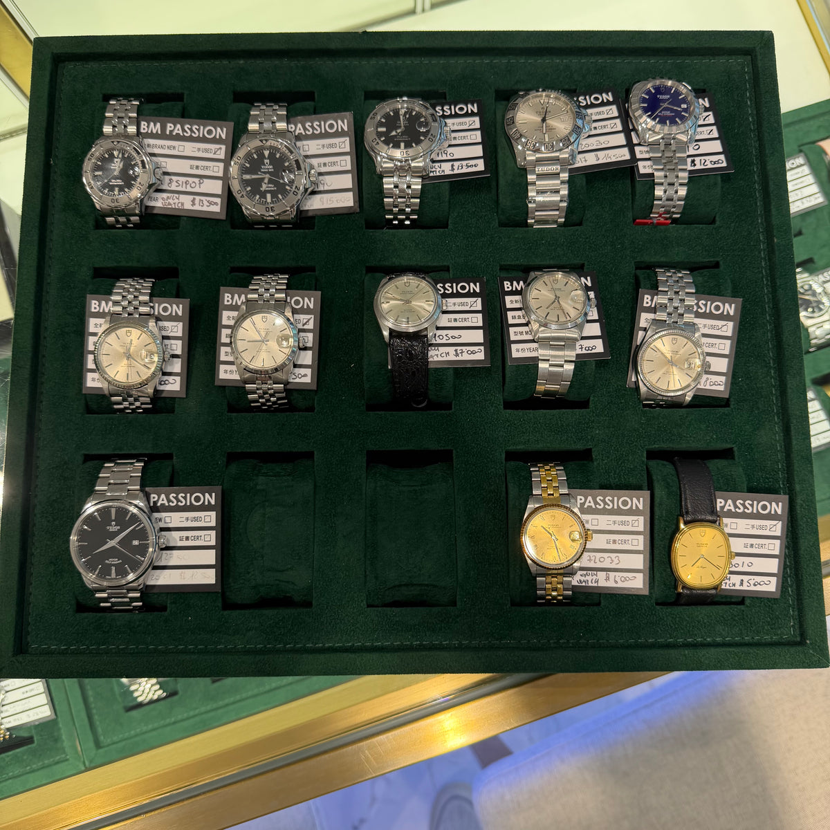 Tudor stock