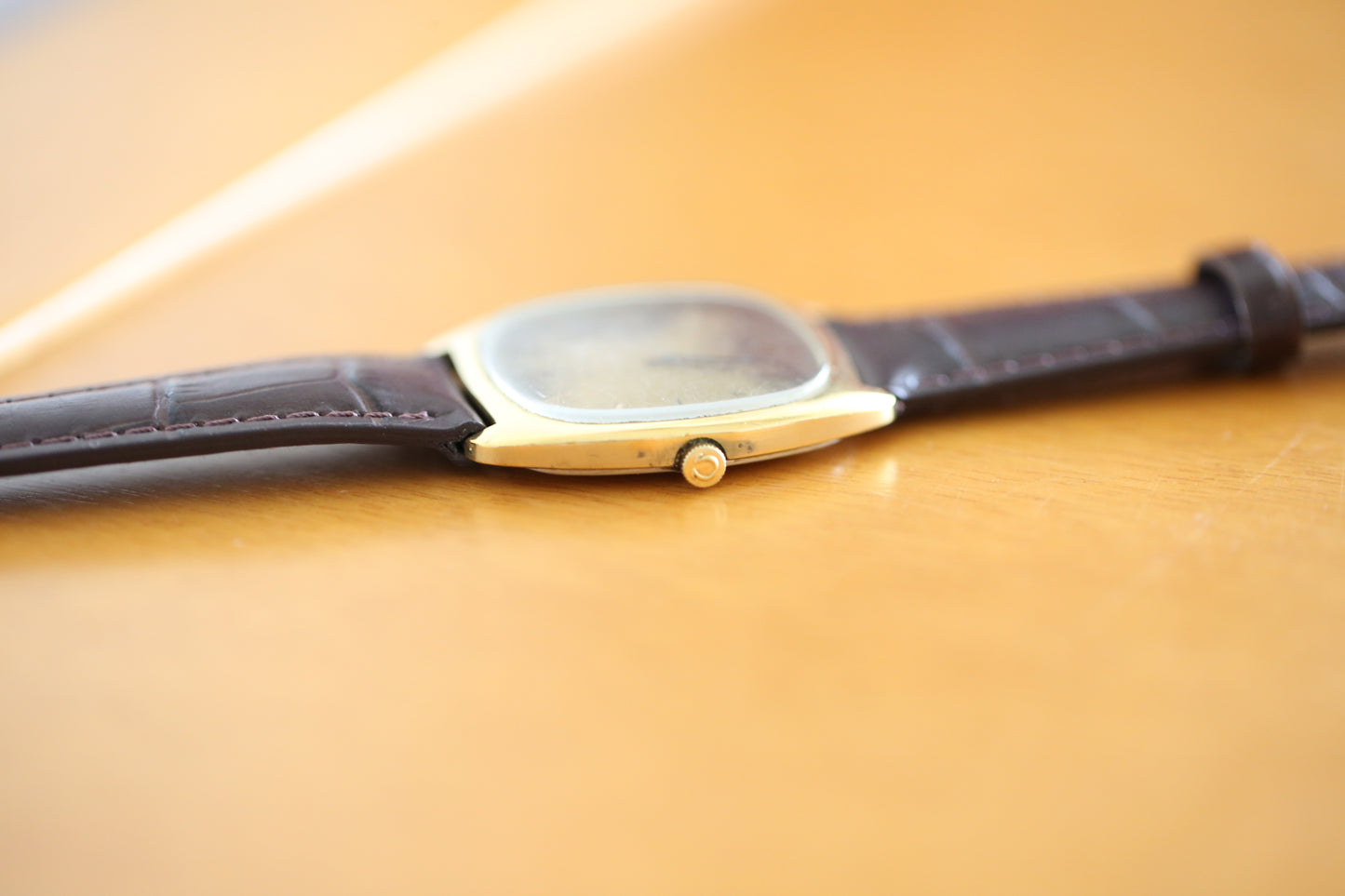 Omega Manuale Vintage
