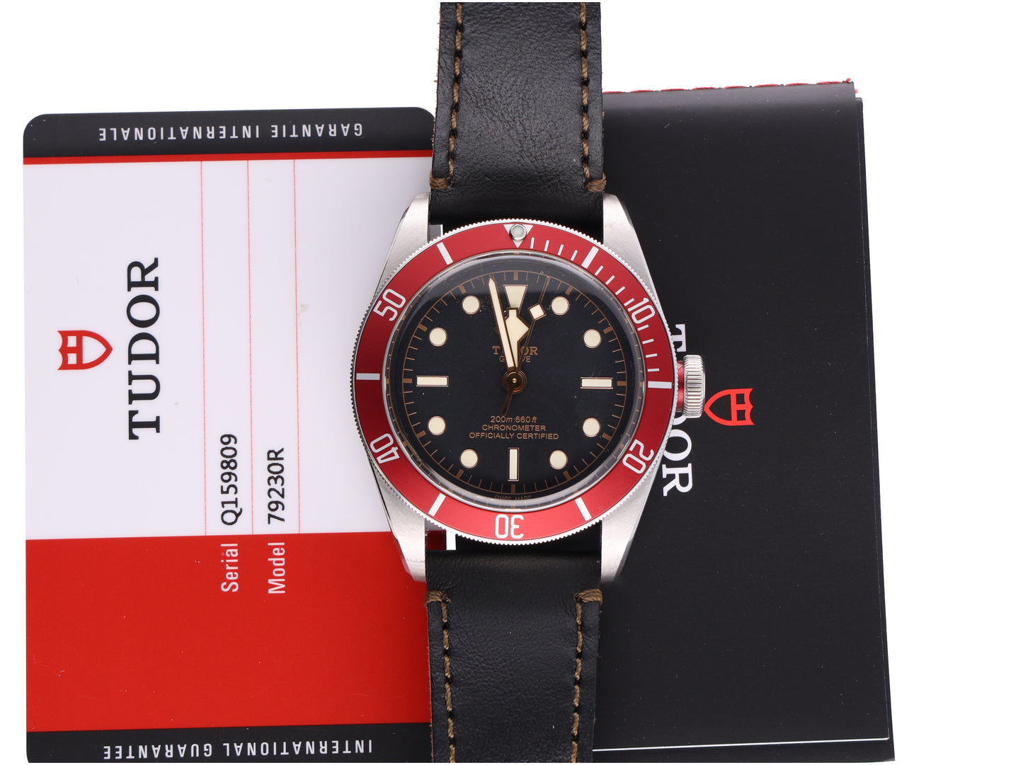 TUDOR 79230R leather