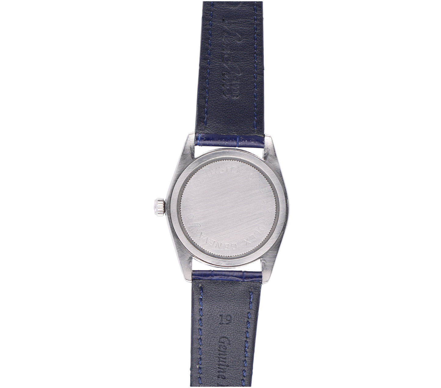 Tudor Rosellina 7962
