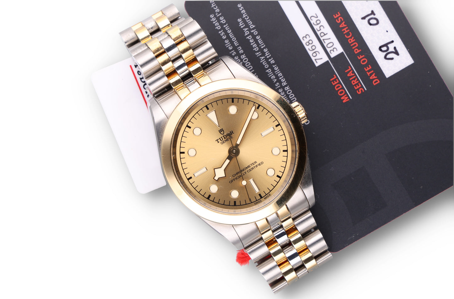Tudor Black Bay 79683