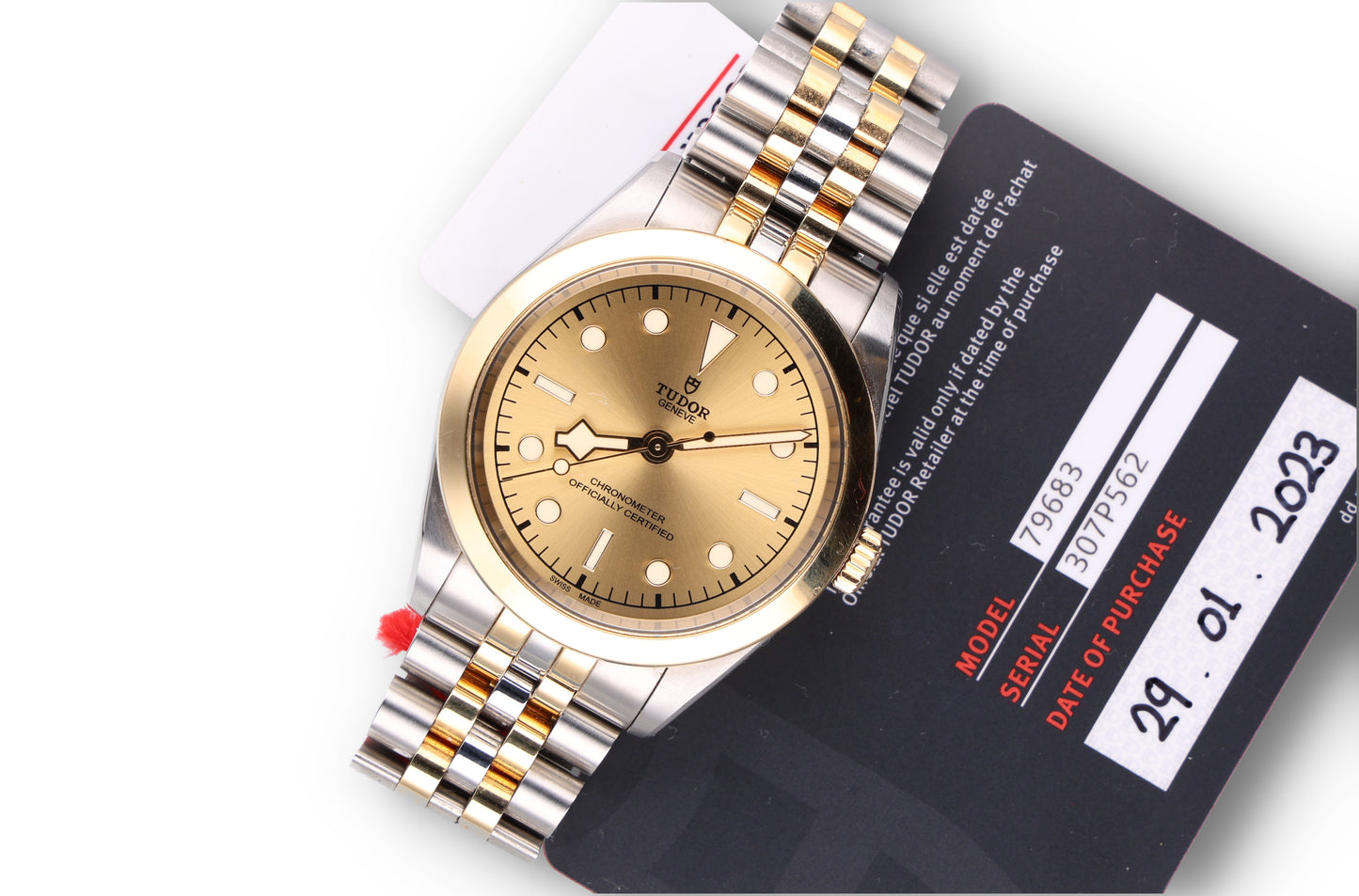 Tudor Black Bay 79683