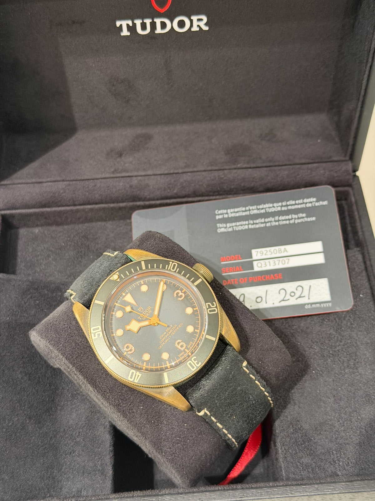 Tudor 79250BA BRONZE