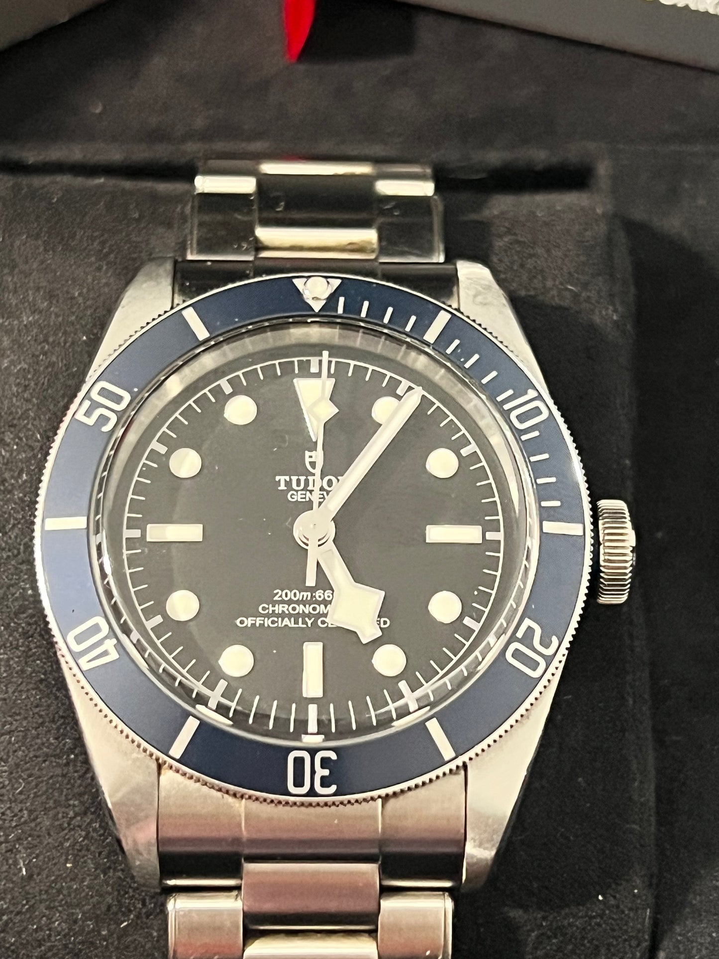 Tudor Black Bay