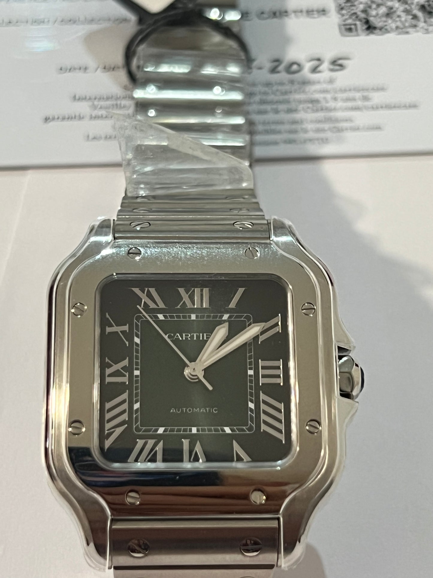 Cartier Santos Medio
