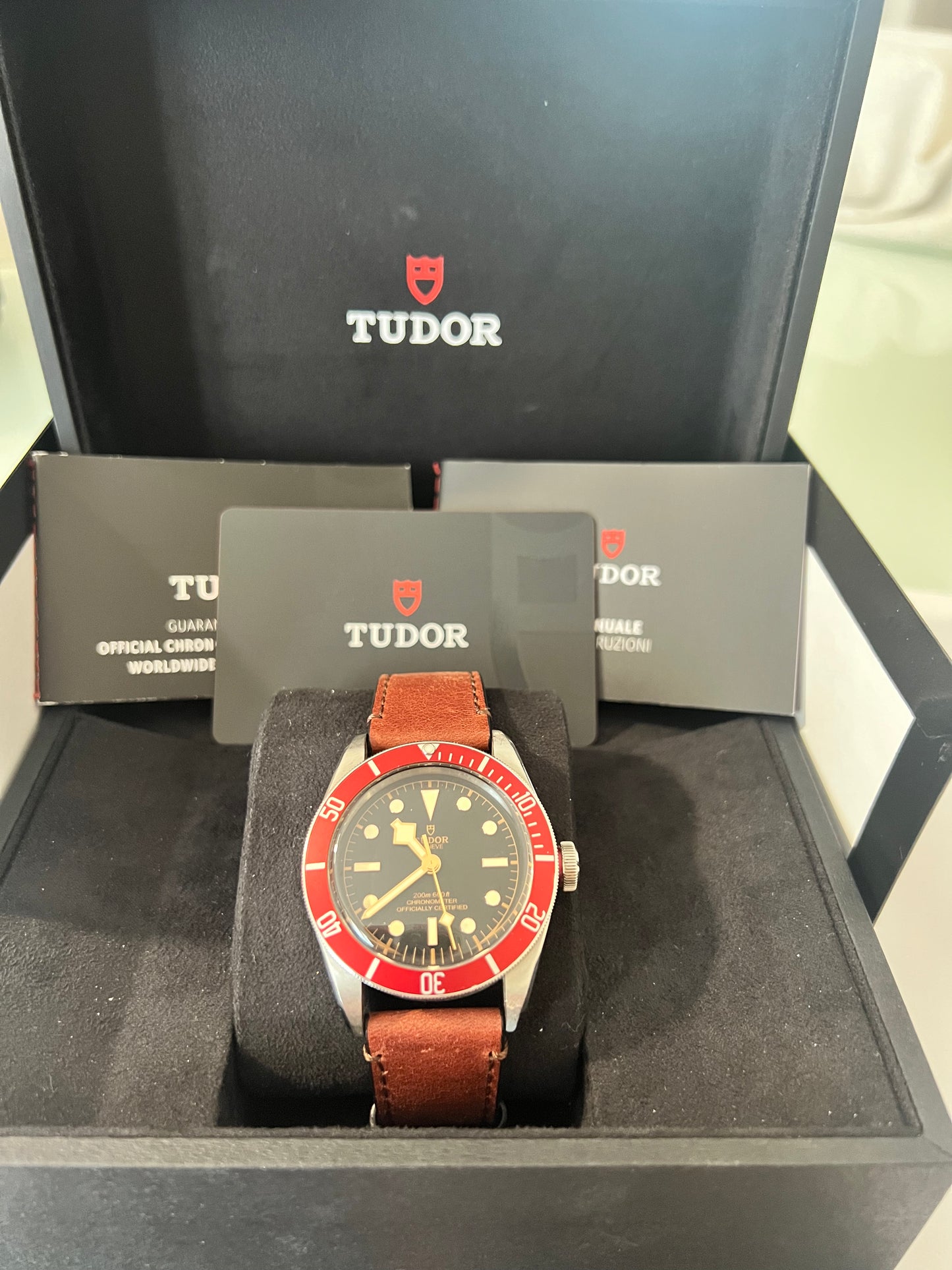 Tudor Black Bay