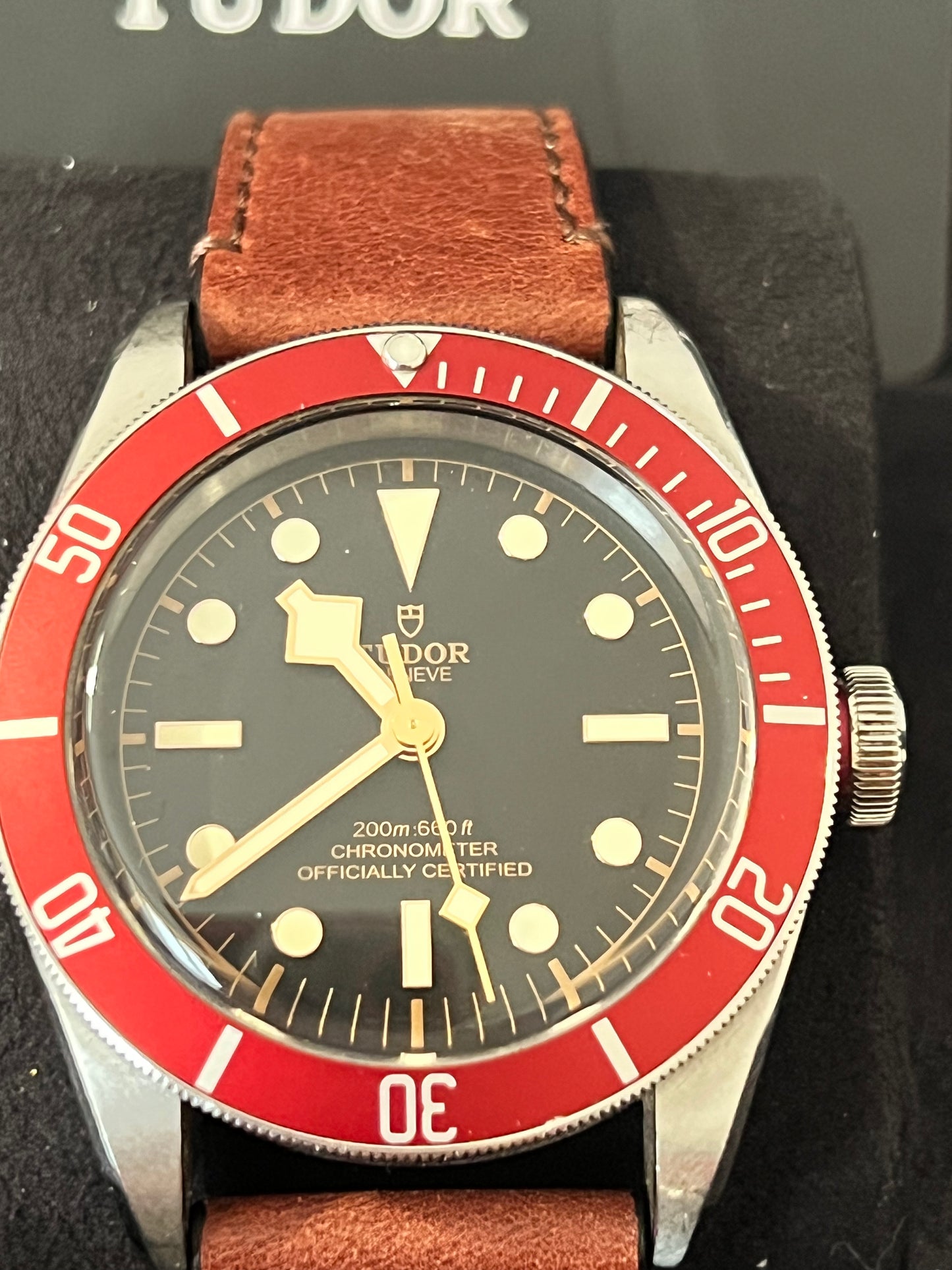 Tudor Black Bay