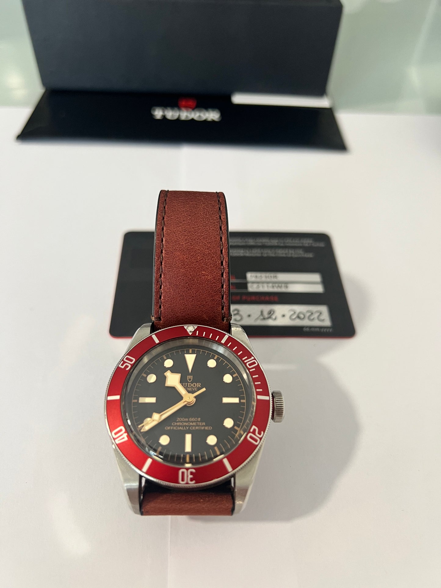 Tudor Black Bay