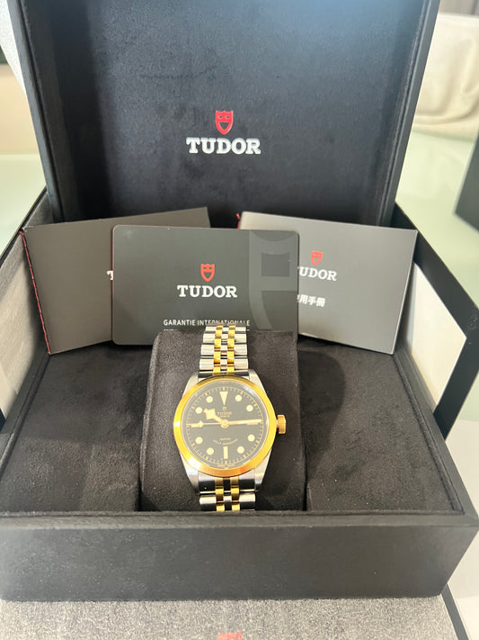 Tudor Black Bay 36