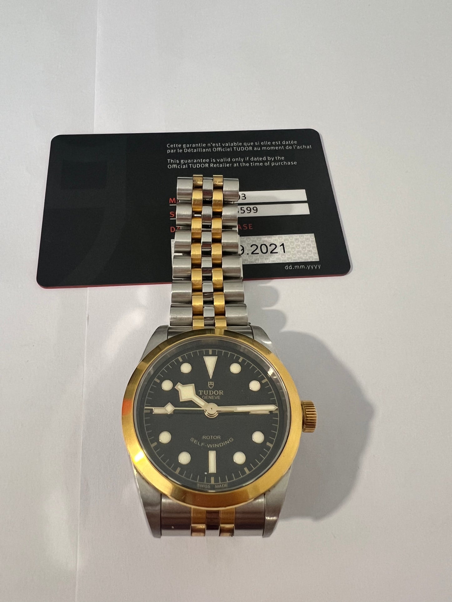 Tudor Black Bay 36