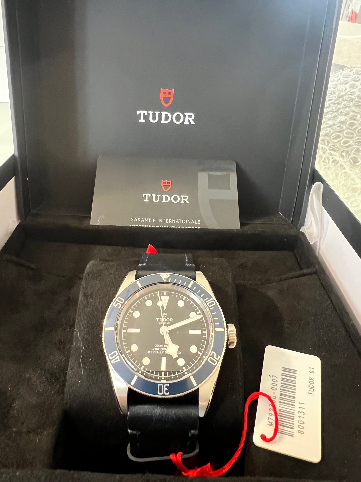 Tudor Black Bay