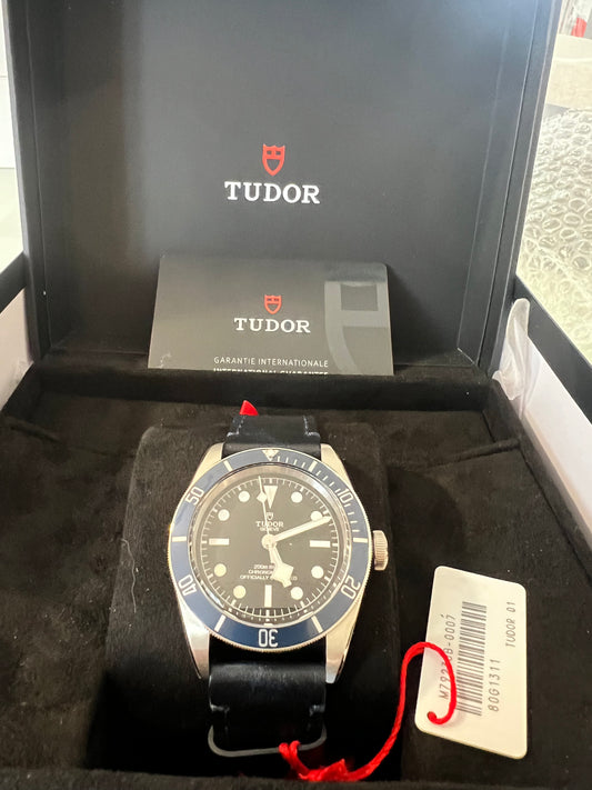 Tudor Black Bay