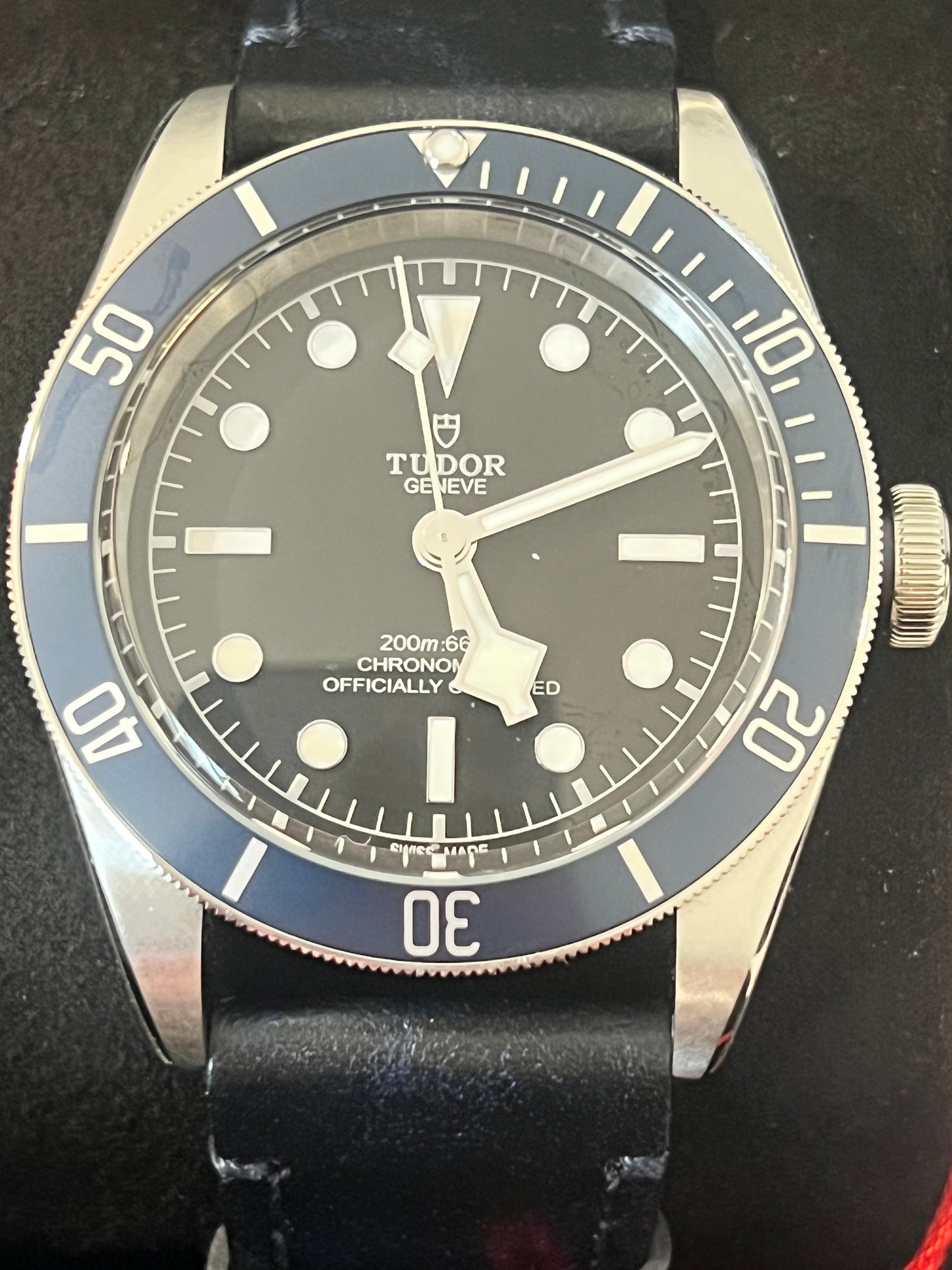 Tudor Black Bay
