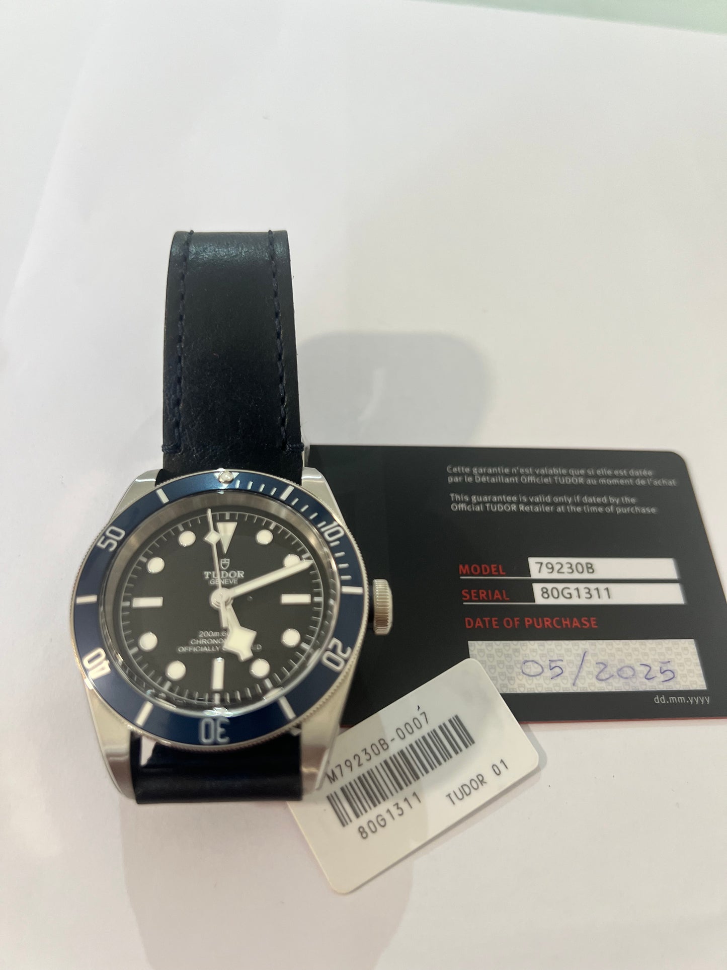 Tudor Black Bay