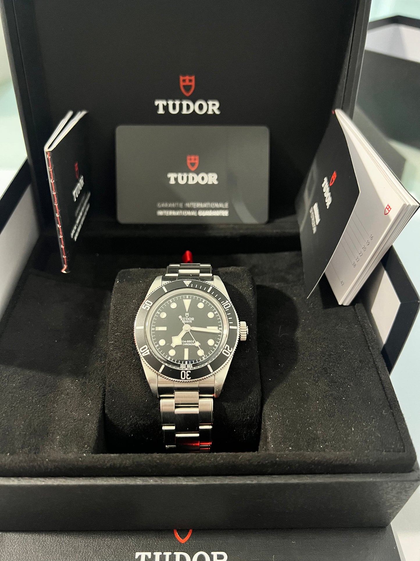 Tudor Black Bay