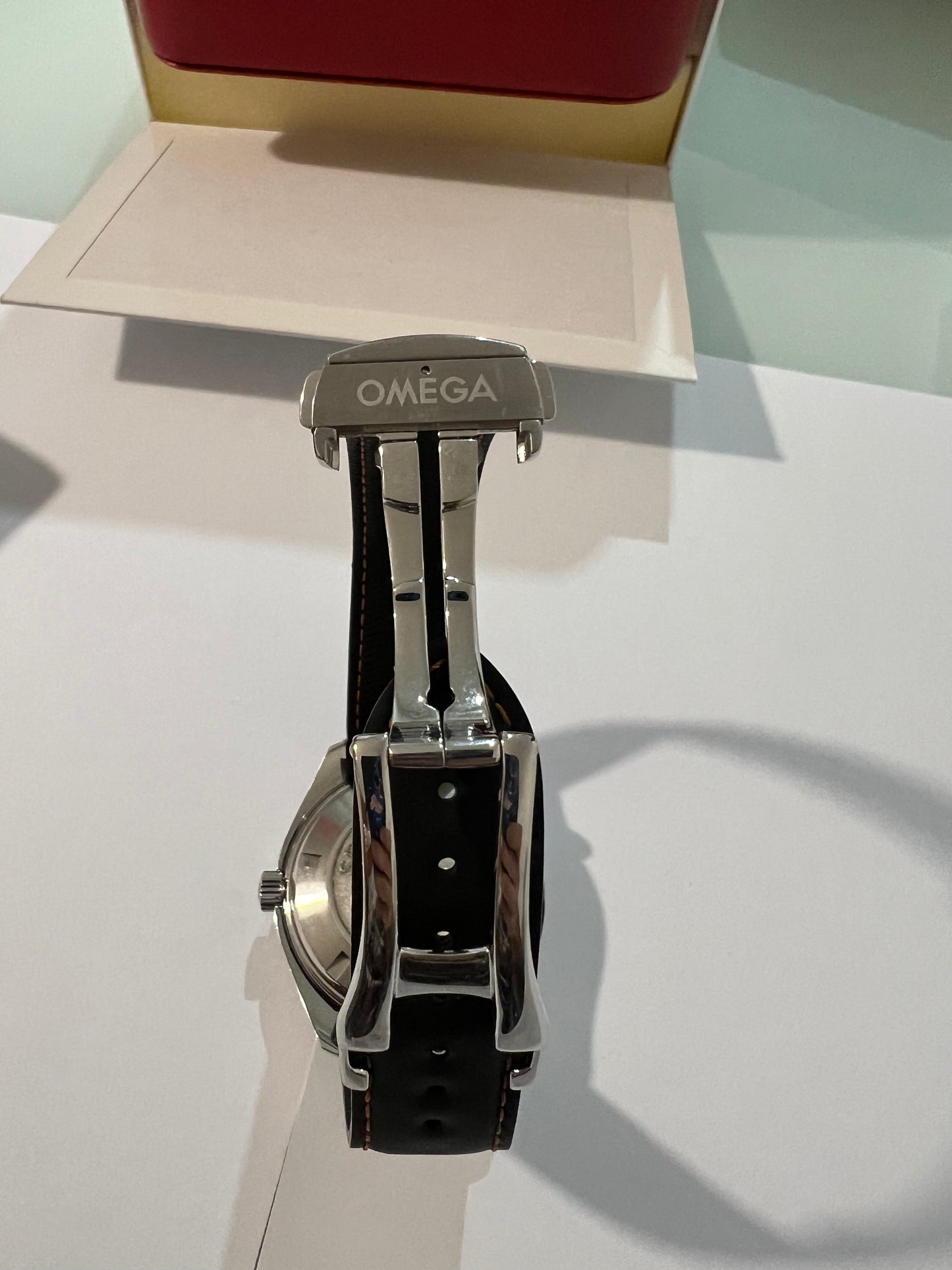 Omega Seamaster Planet Ocean