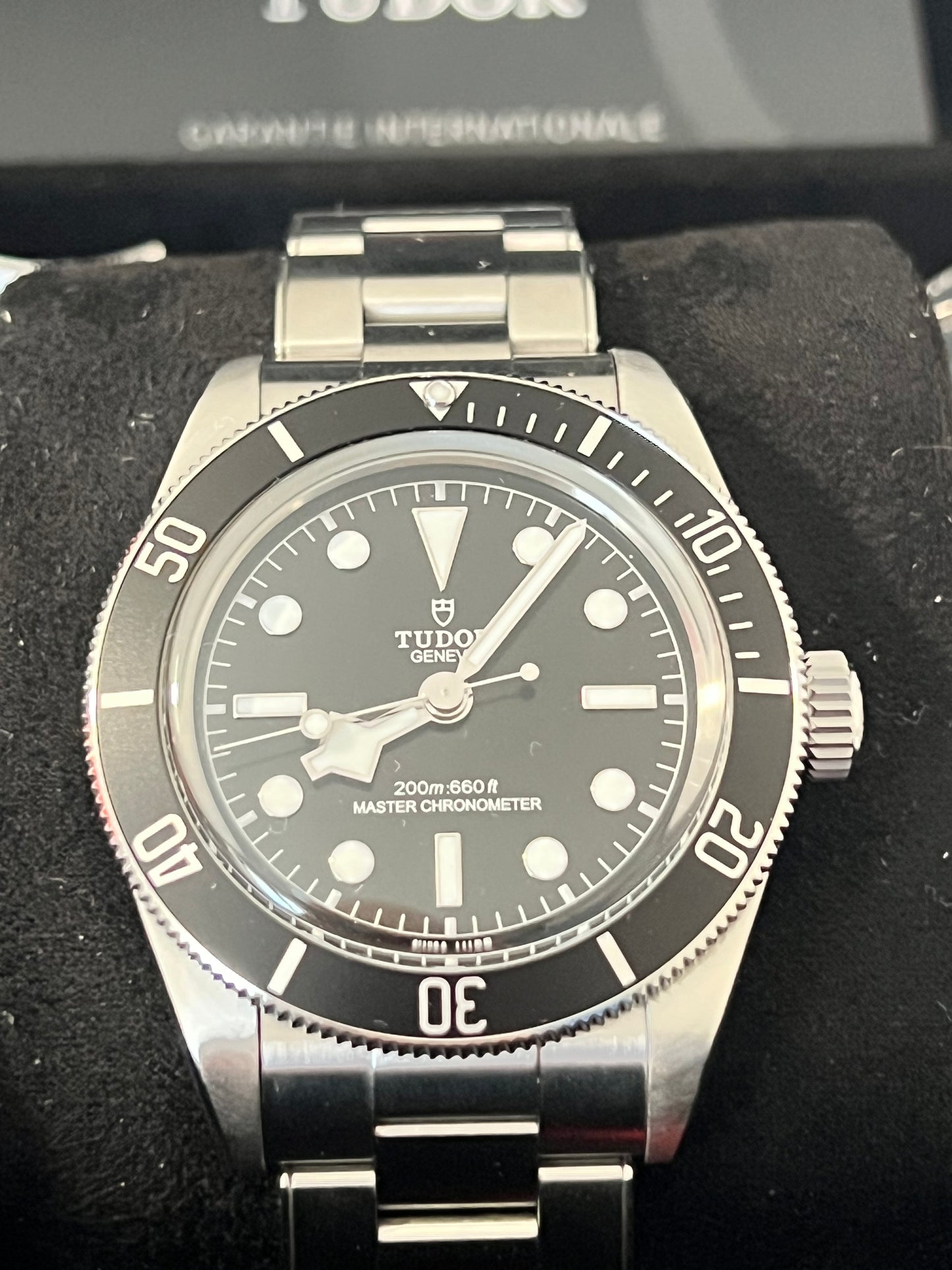 Tudor Black Bay