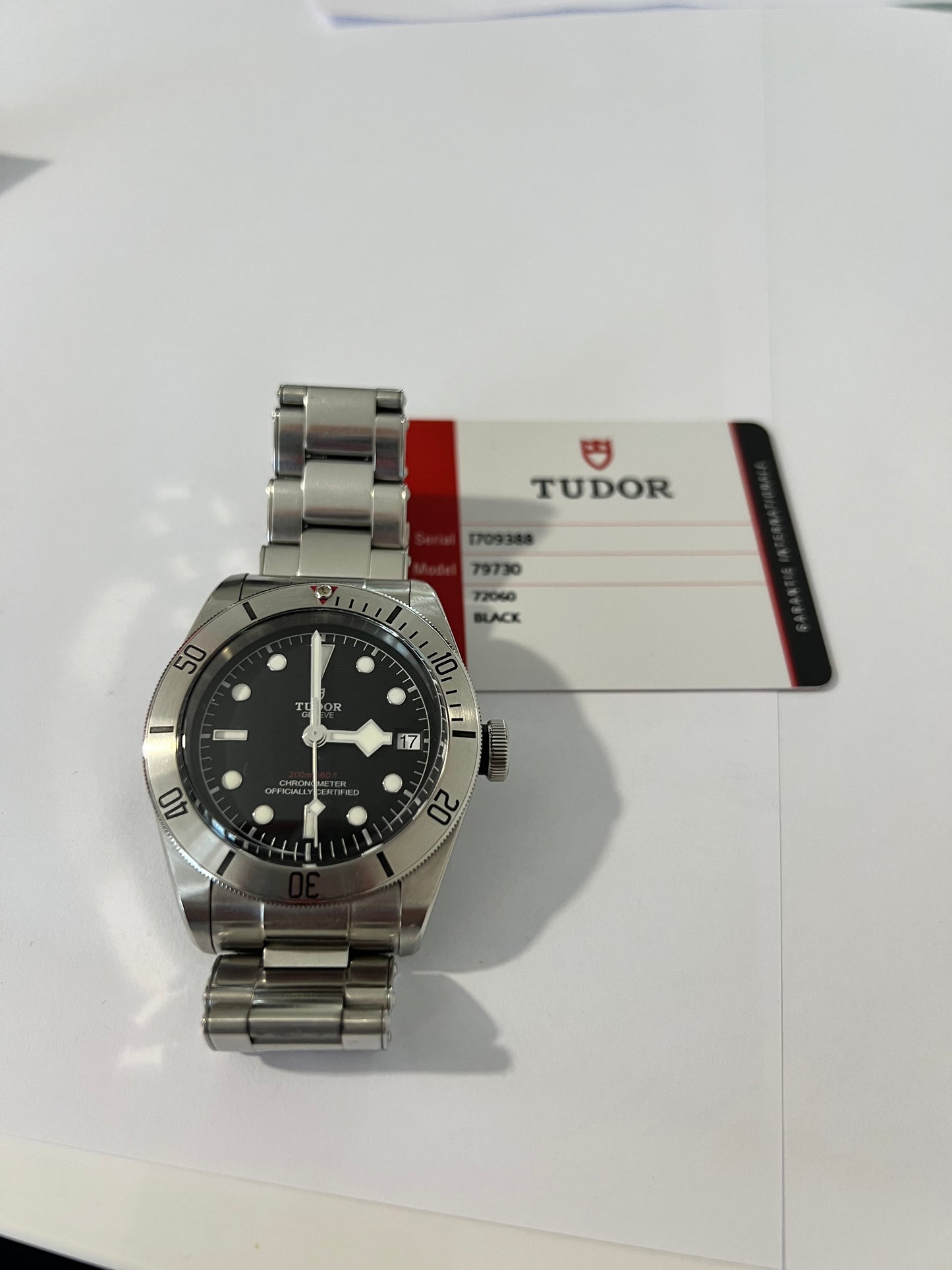 Tudor Black Bay Steel