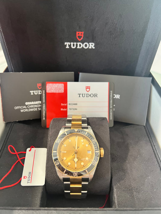 Tudor Black Bay S&G