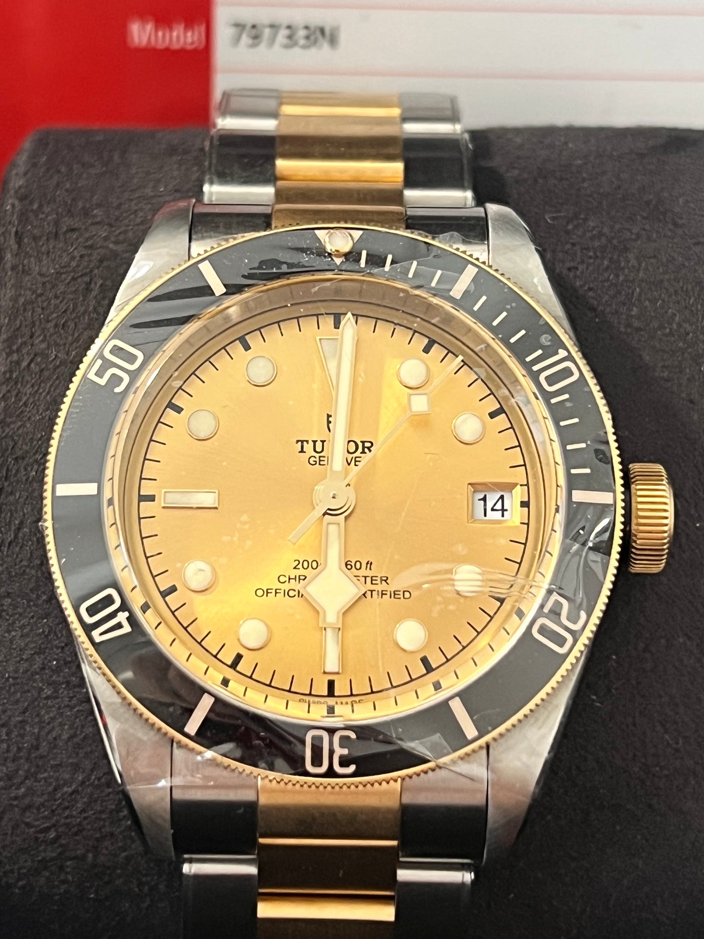 Tudor Black Bay S&G