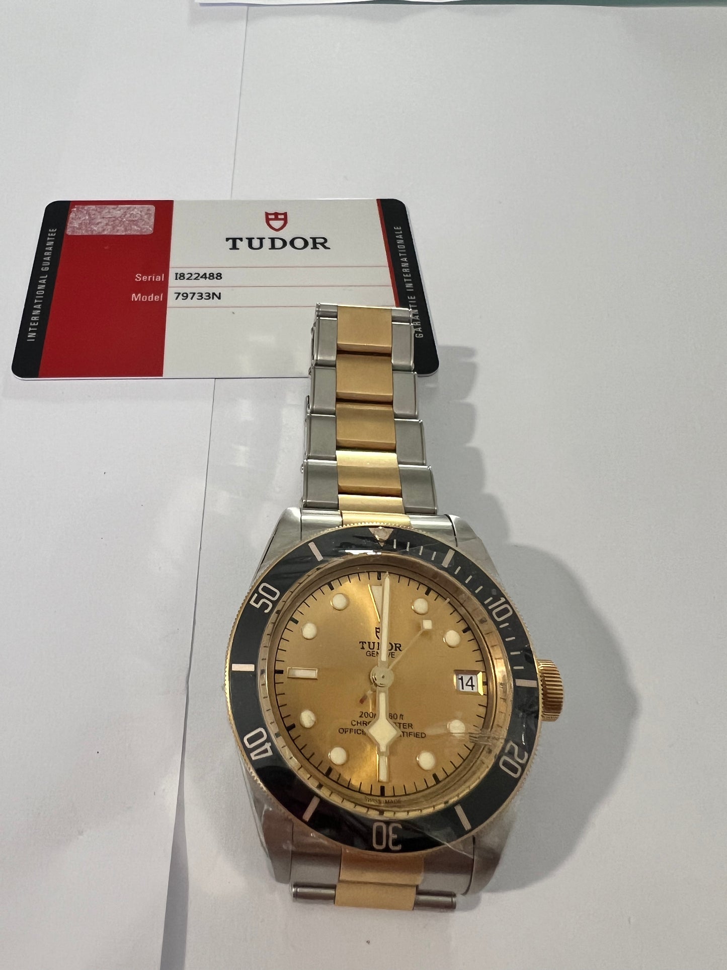 Tudor Black Bay S&G