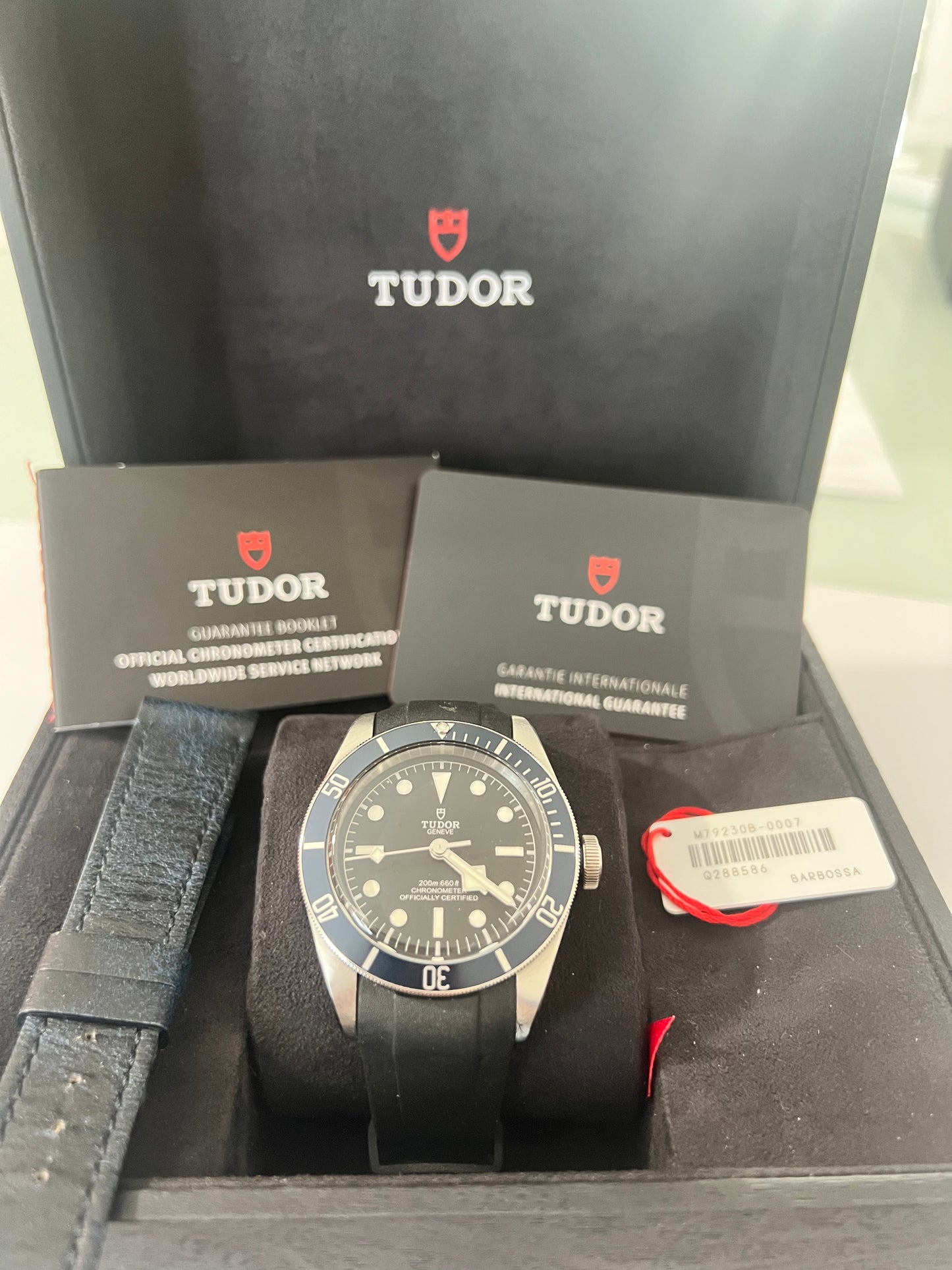 Tudor Black Bay