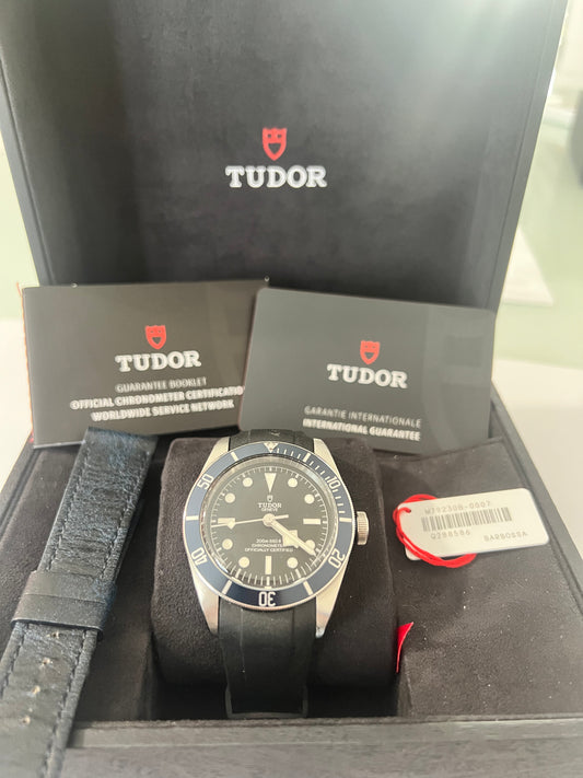 Tudor Black Bay