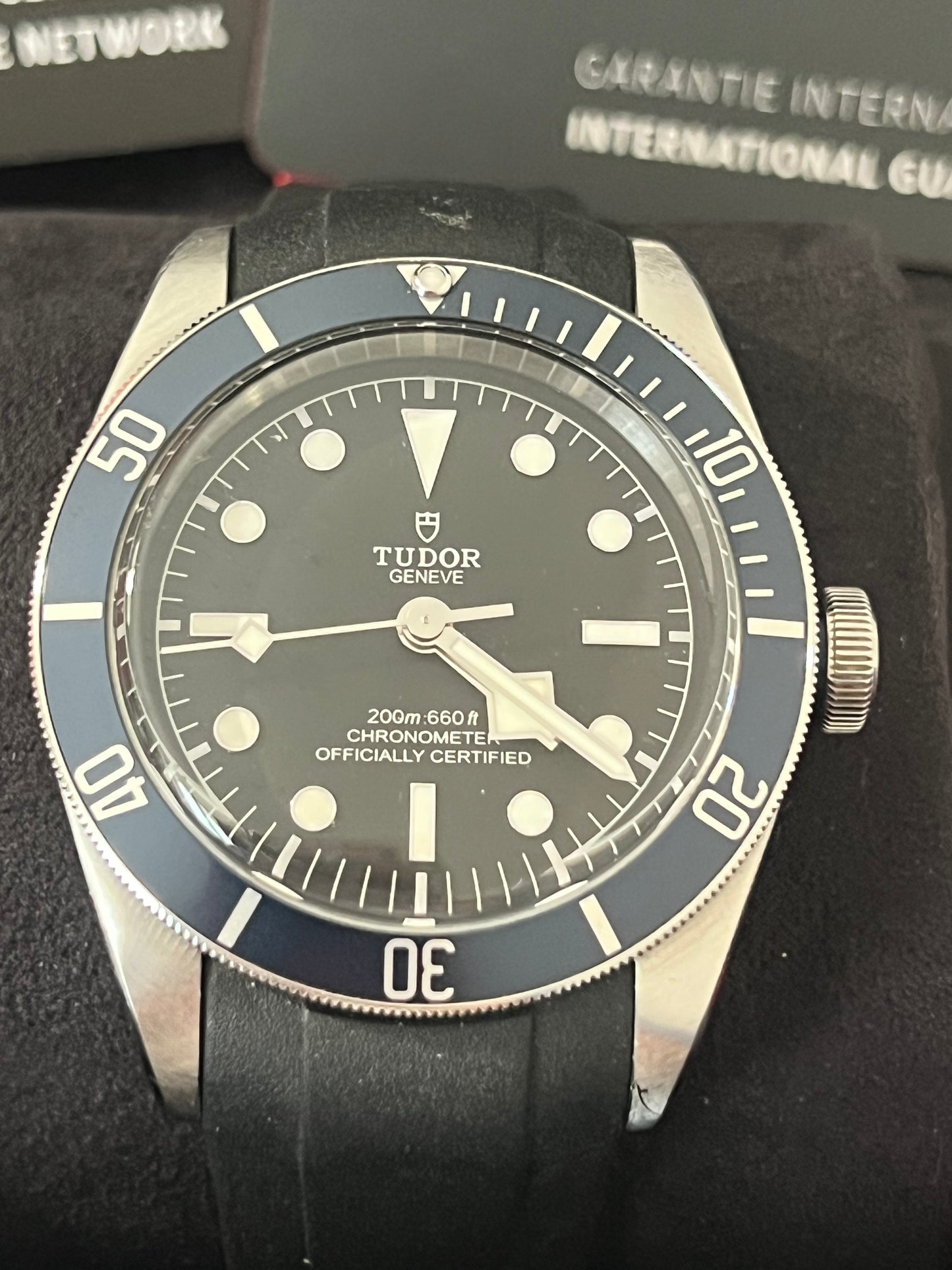 Tudor Black Bay