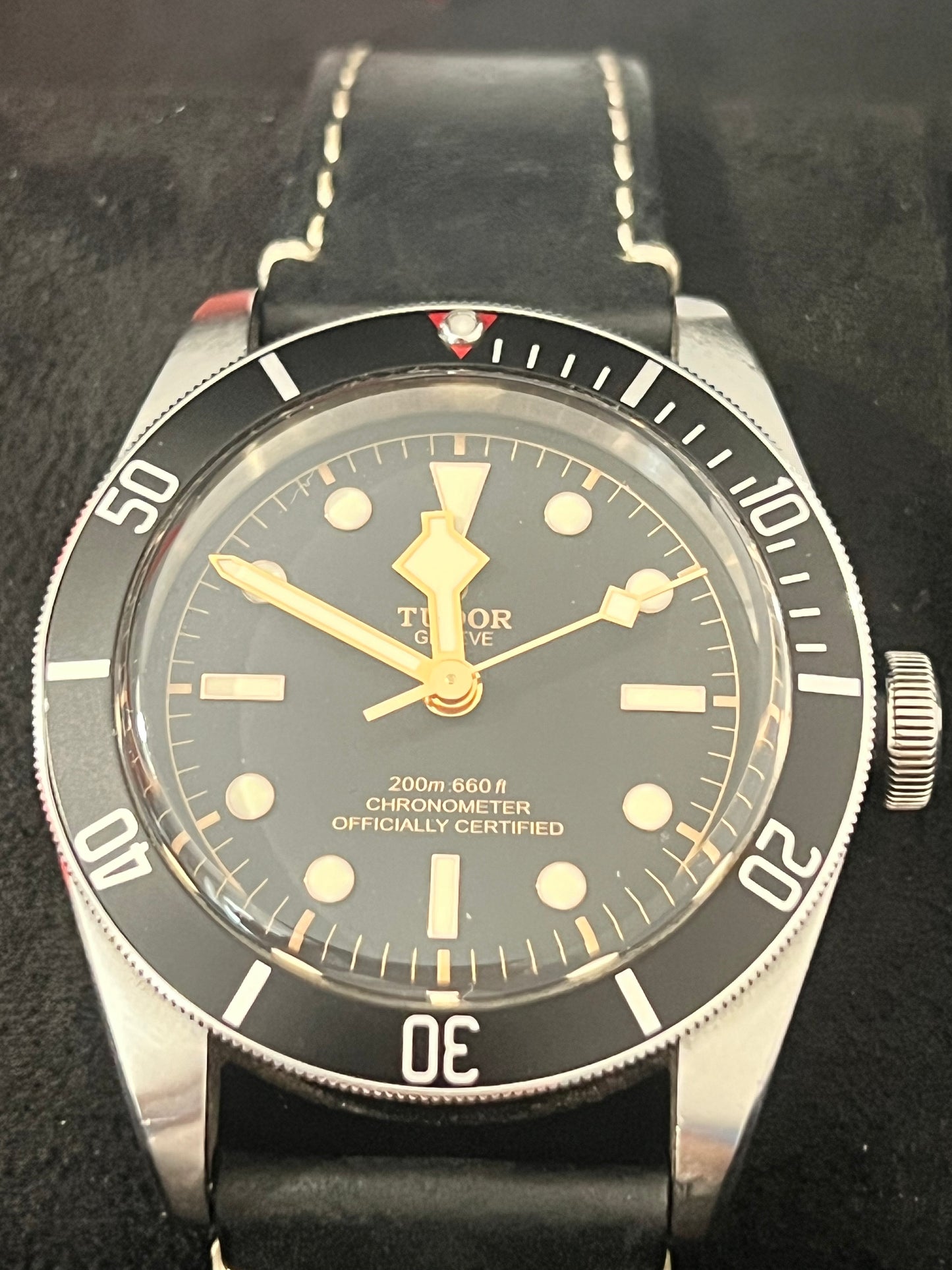Tudor Black Bay
