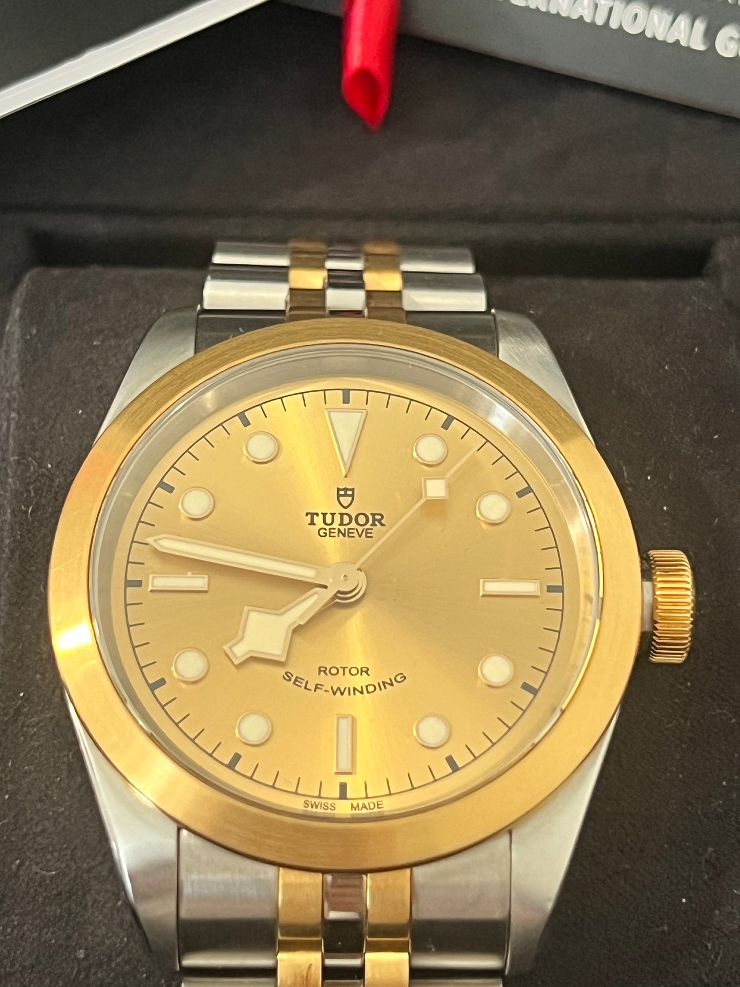 Tudor Black Bay Gold