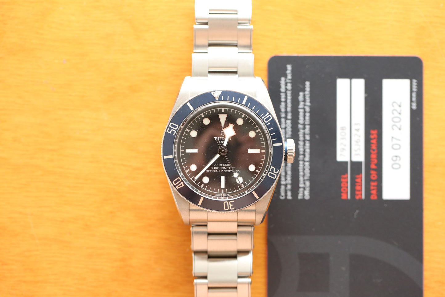 TUDOR Black Bay 79230B