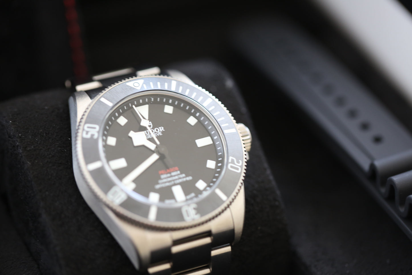 Tudor Pelagos 25407n
