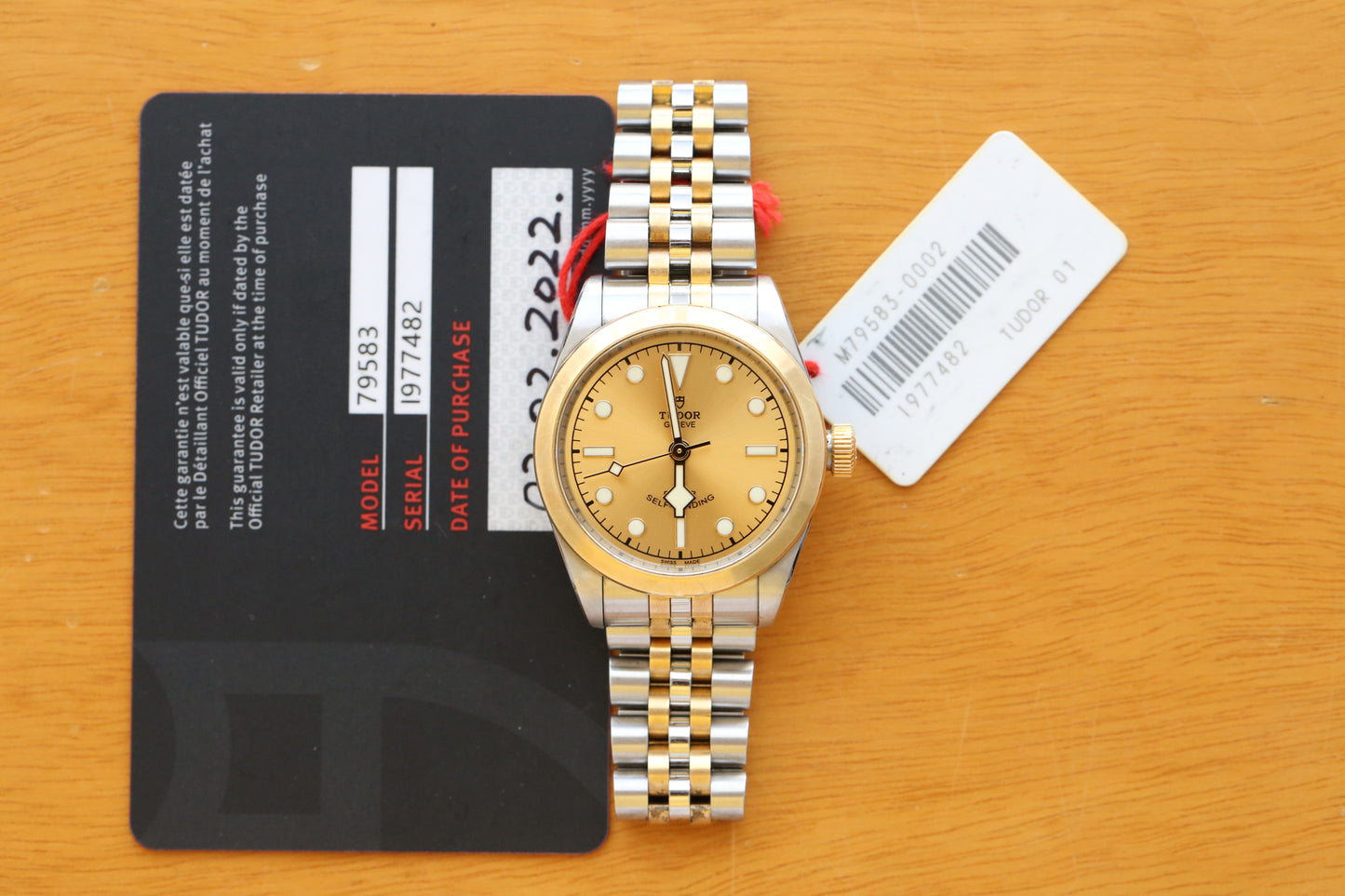 Tudor Blacl Bay 79583
