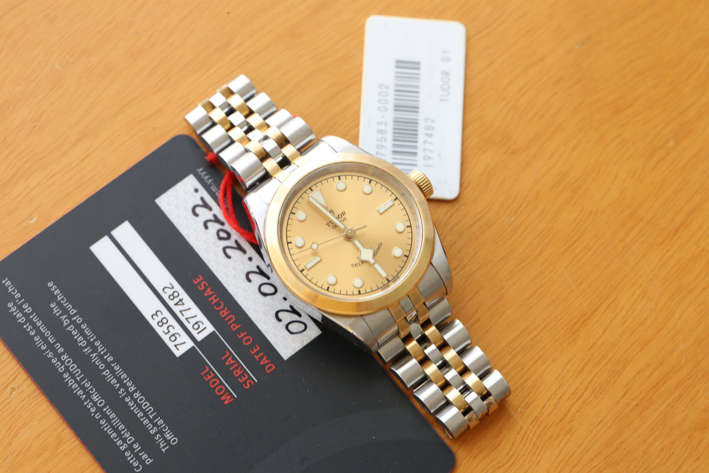 Tudor Blacl Bay 79583