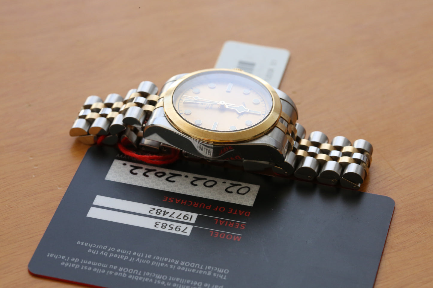 Tudor Blacl Bay 79583