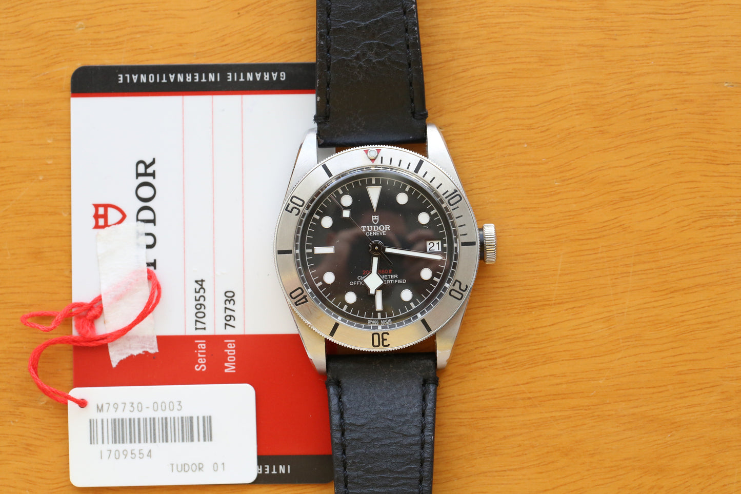 Tudor Blacl Bay 79730