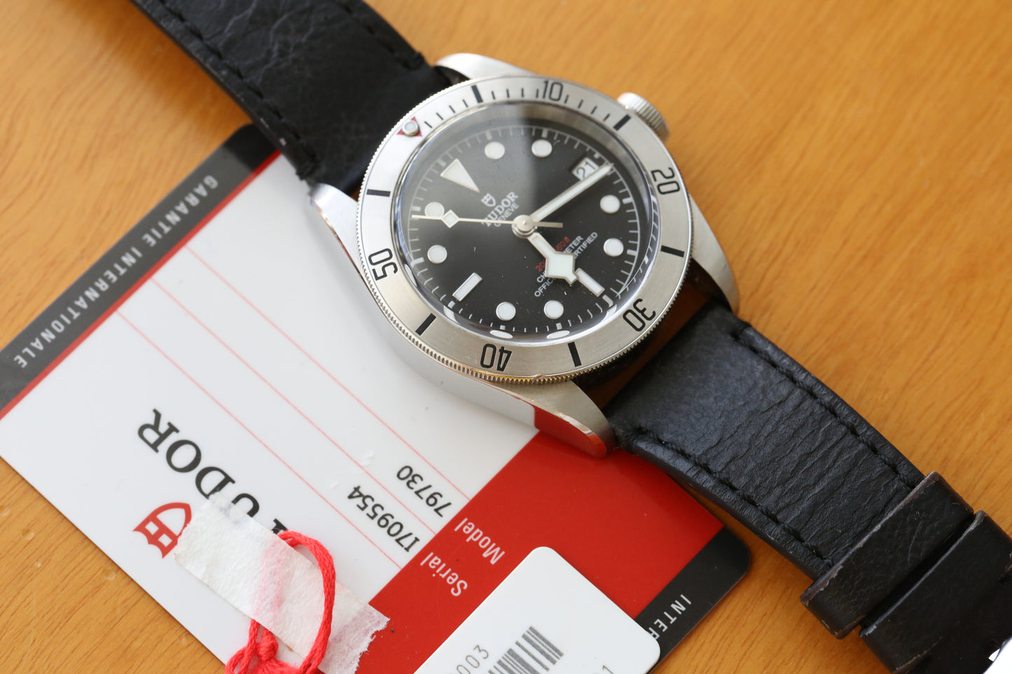 Tudor Blacl Bay 79730
