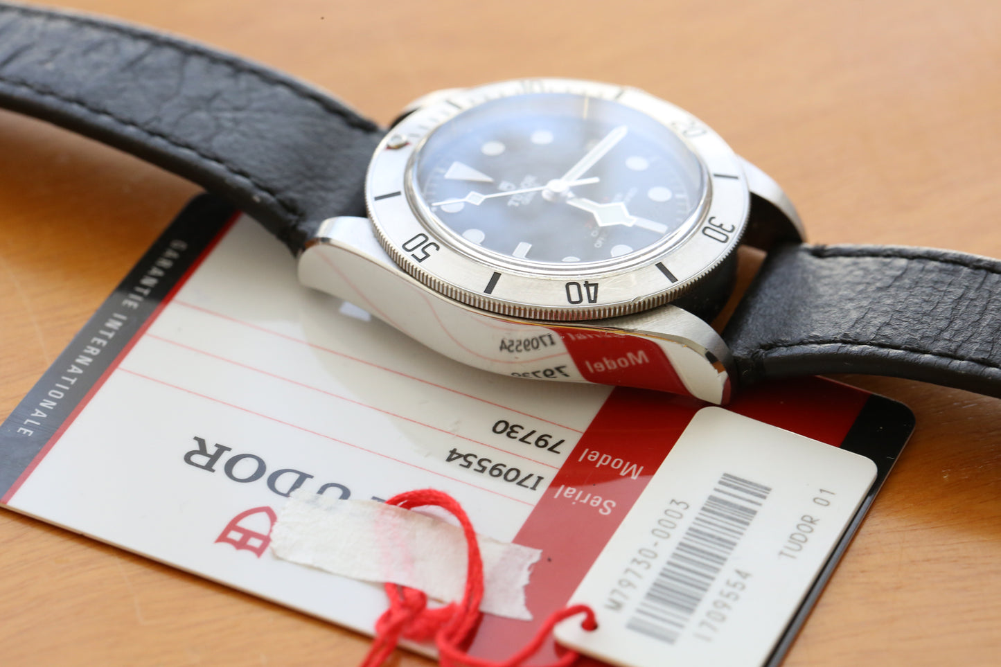 Tudor Blacl Bay 79730