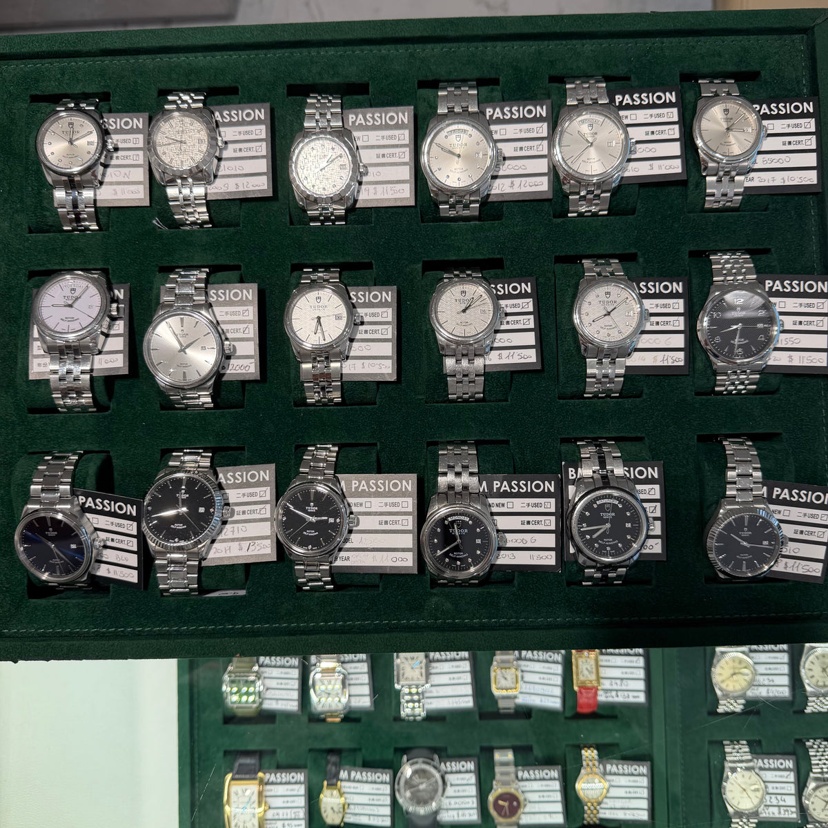 Tudor stock