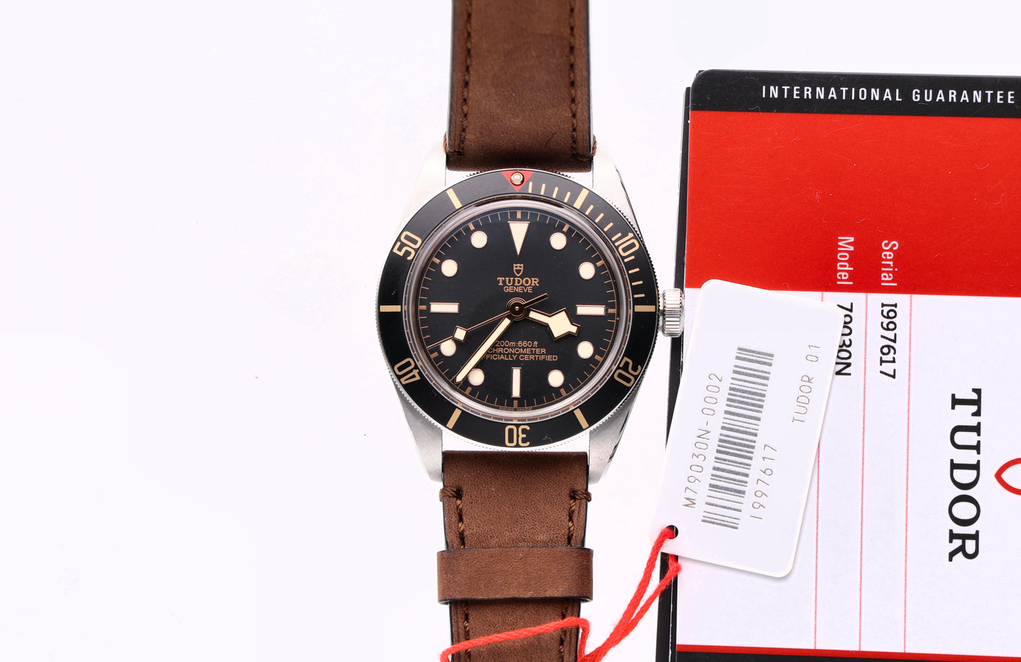Tudor Black Bay 79030N