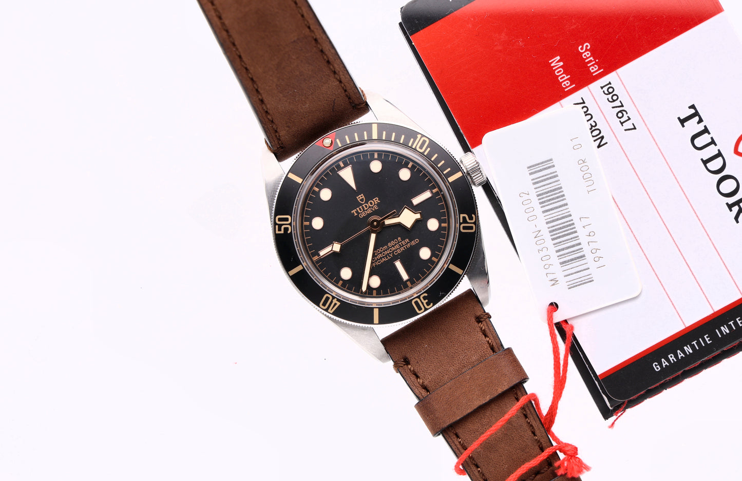 Tudor Black Bay 79030N