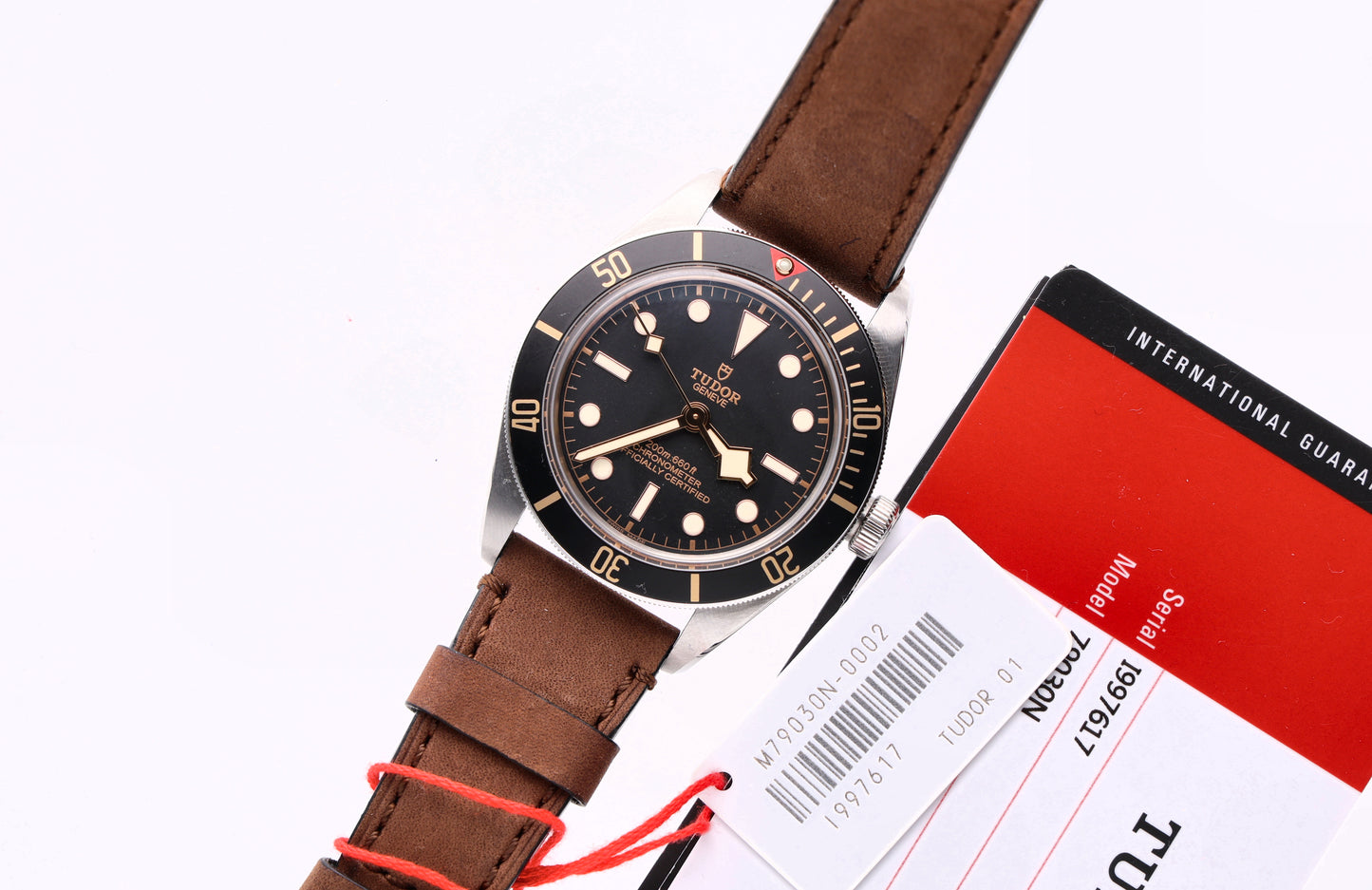 Tudor Black Bay 79030N