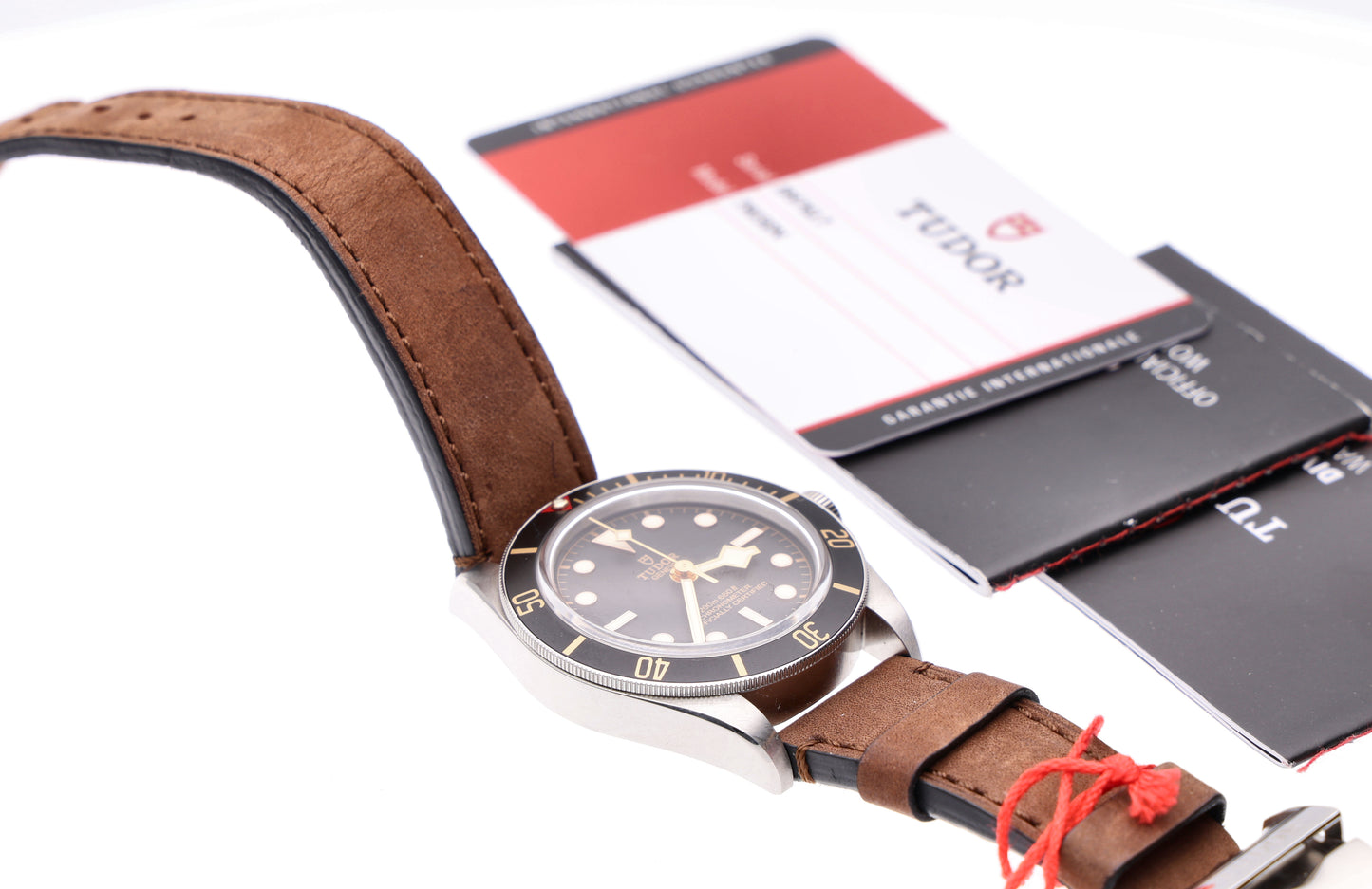 Tudor Black Bay 79030N