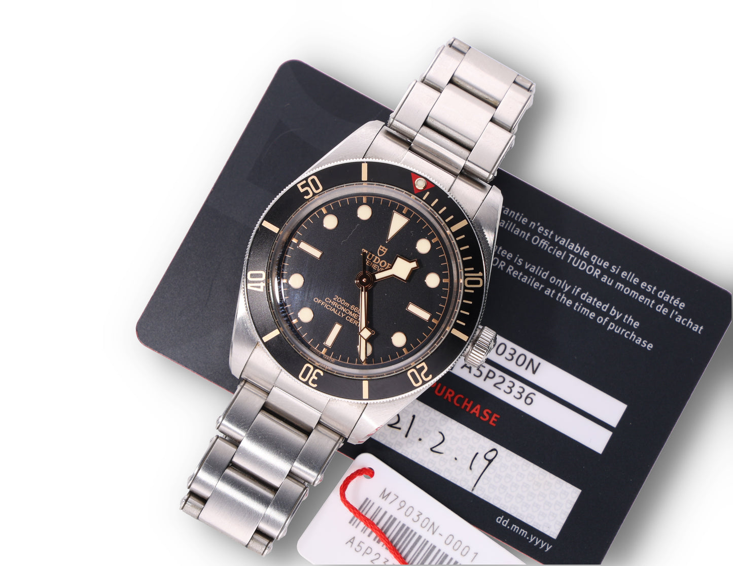 Tudor Black Bay 79030N