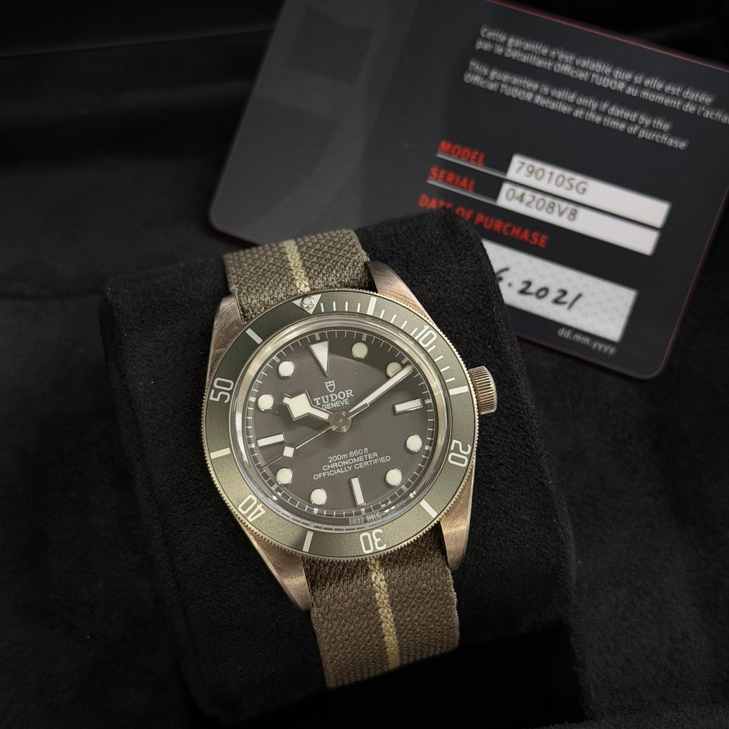 Tudor ref: 79010SG CASSA ARGENTO, full set 2021