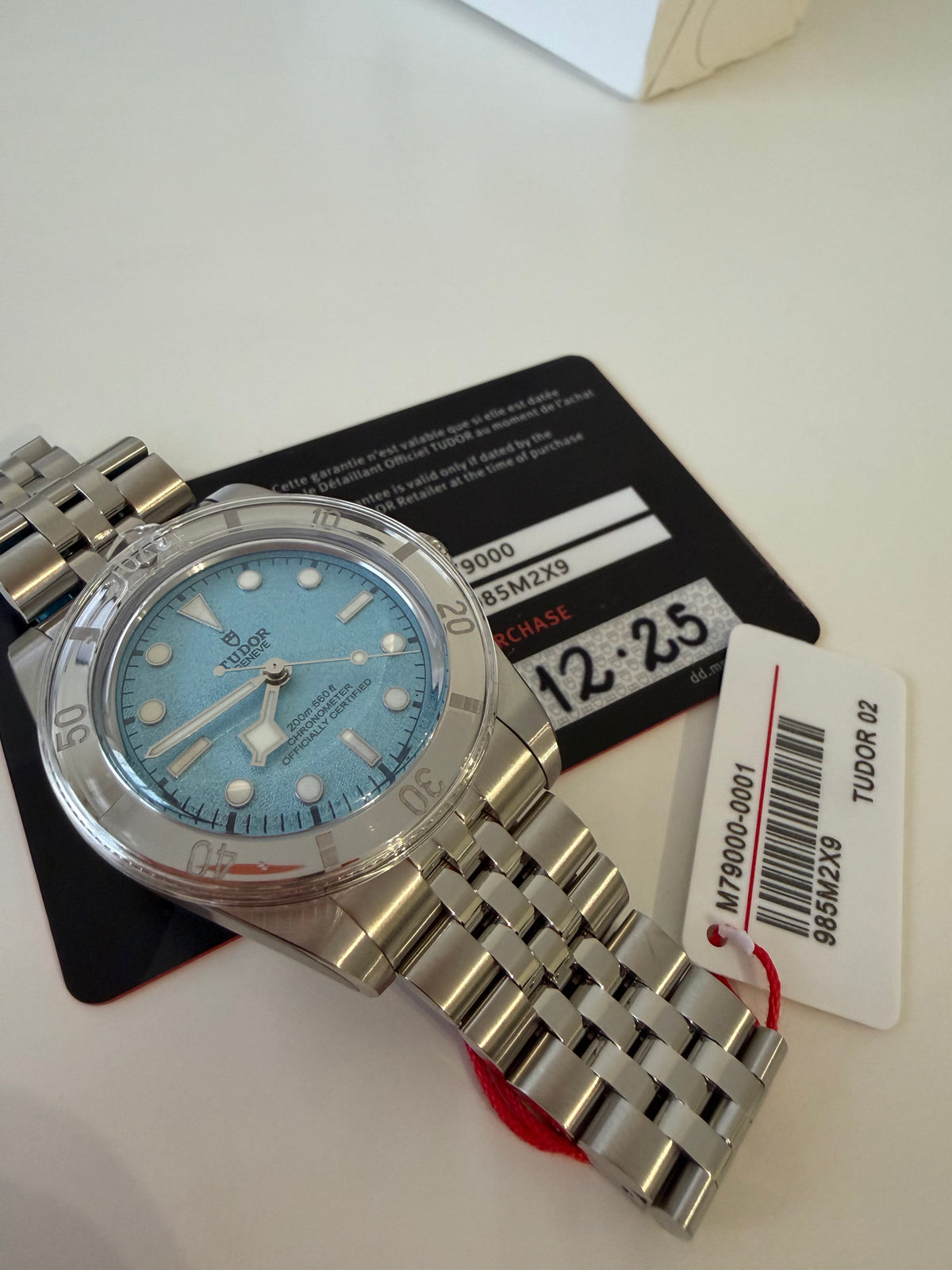 Tudor lagoon blue