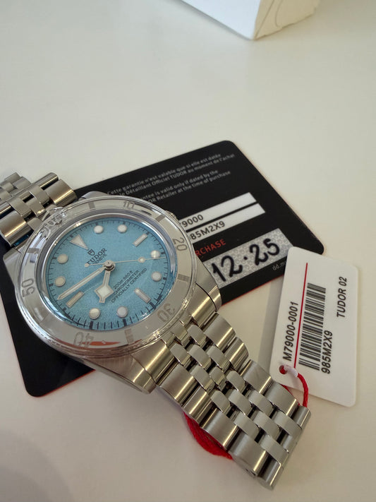 Tudor lagoon blue