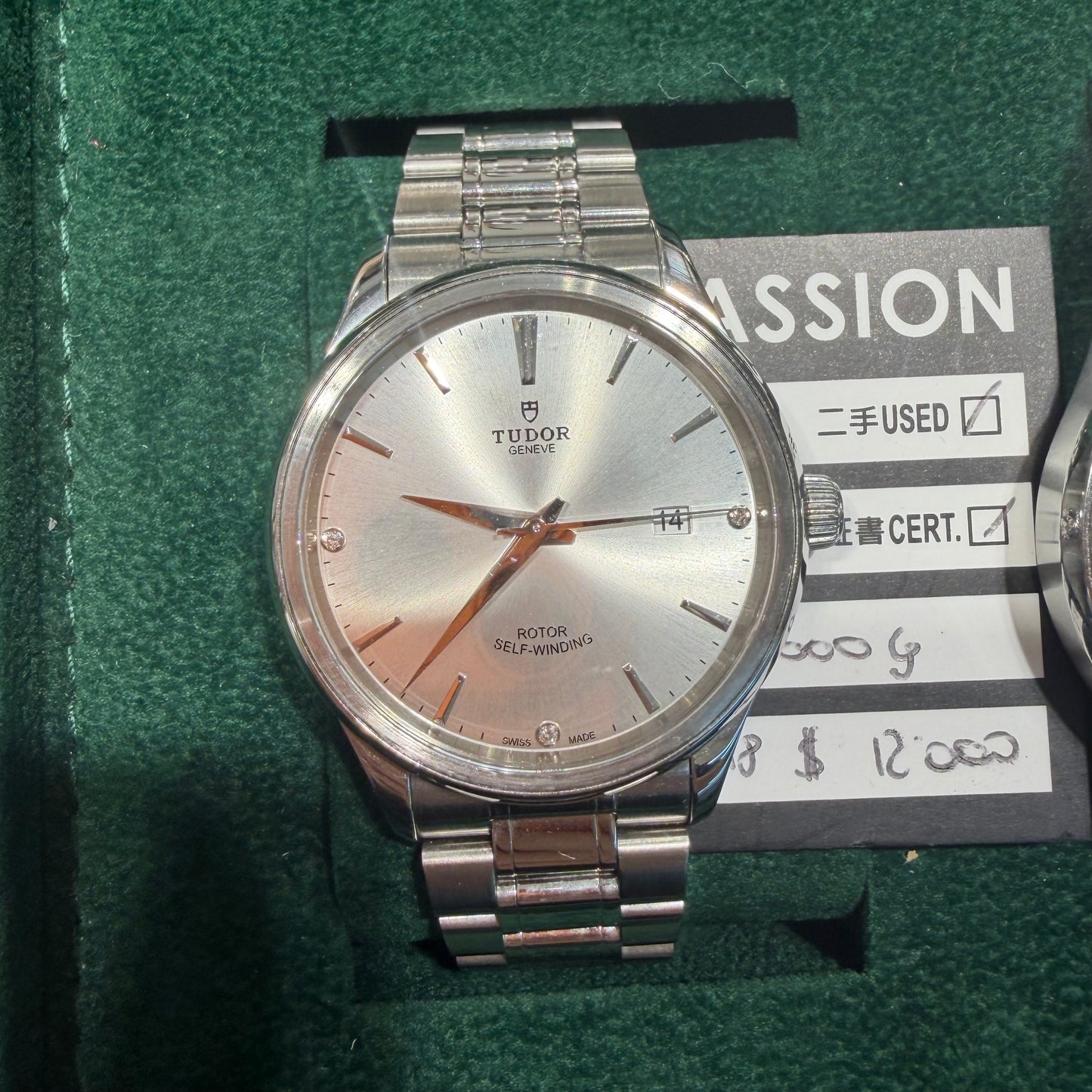 Tudor