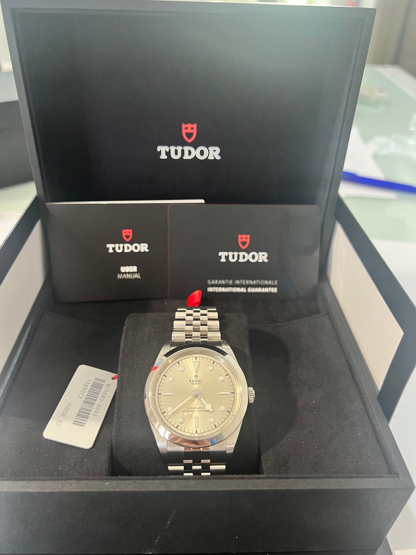 Tudor Black Bay