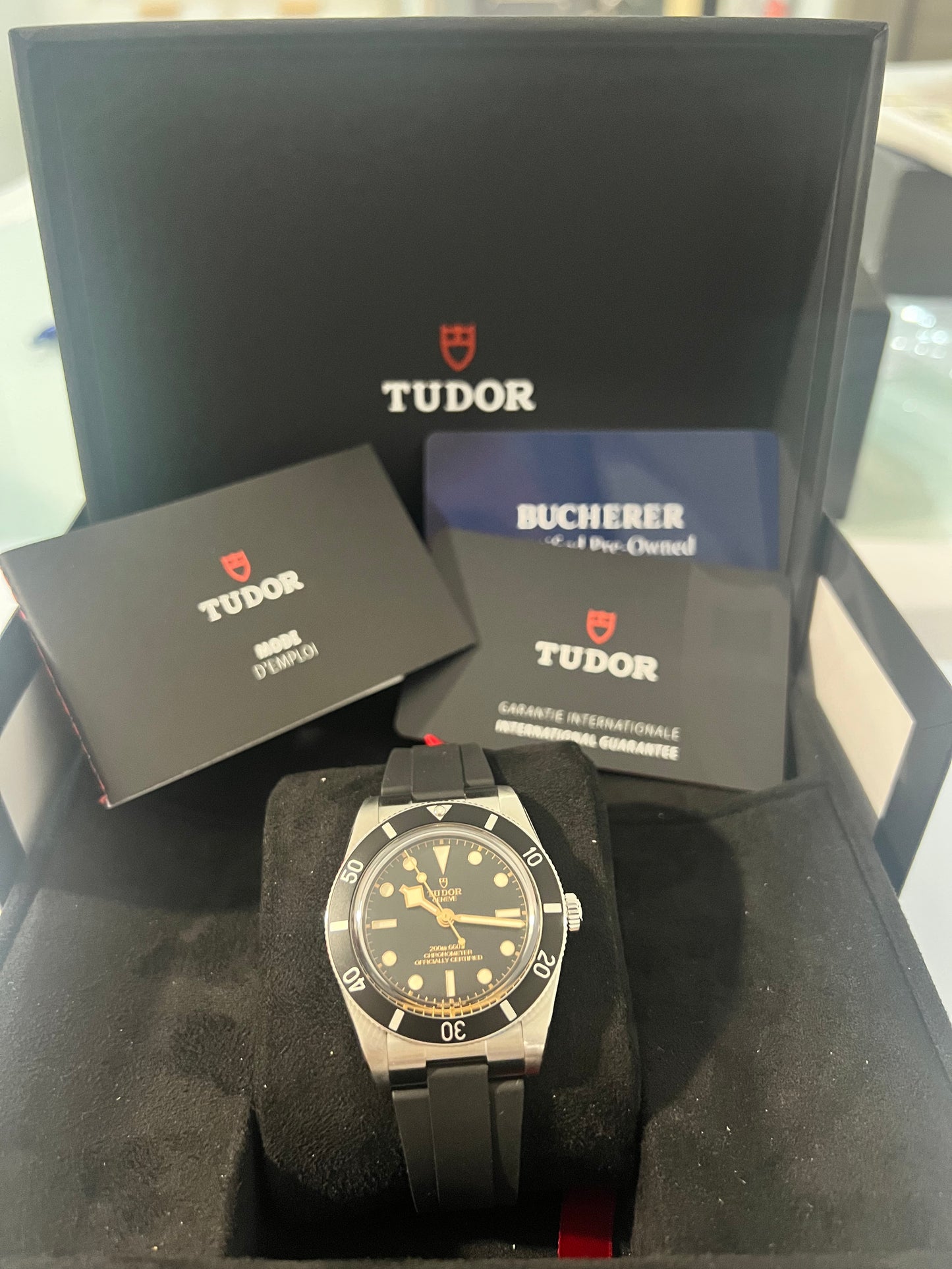 Tudor Black Bay